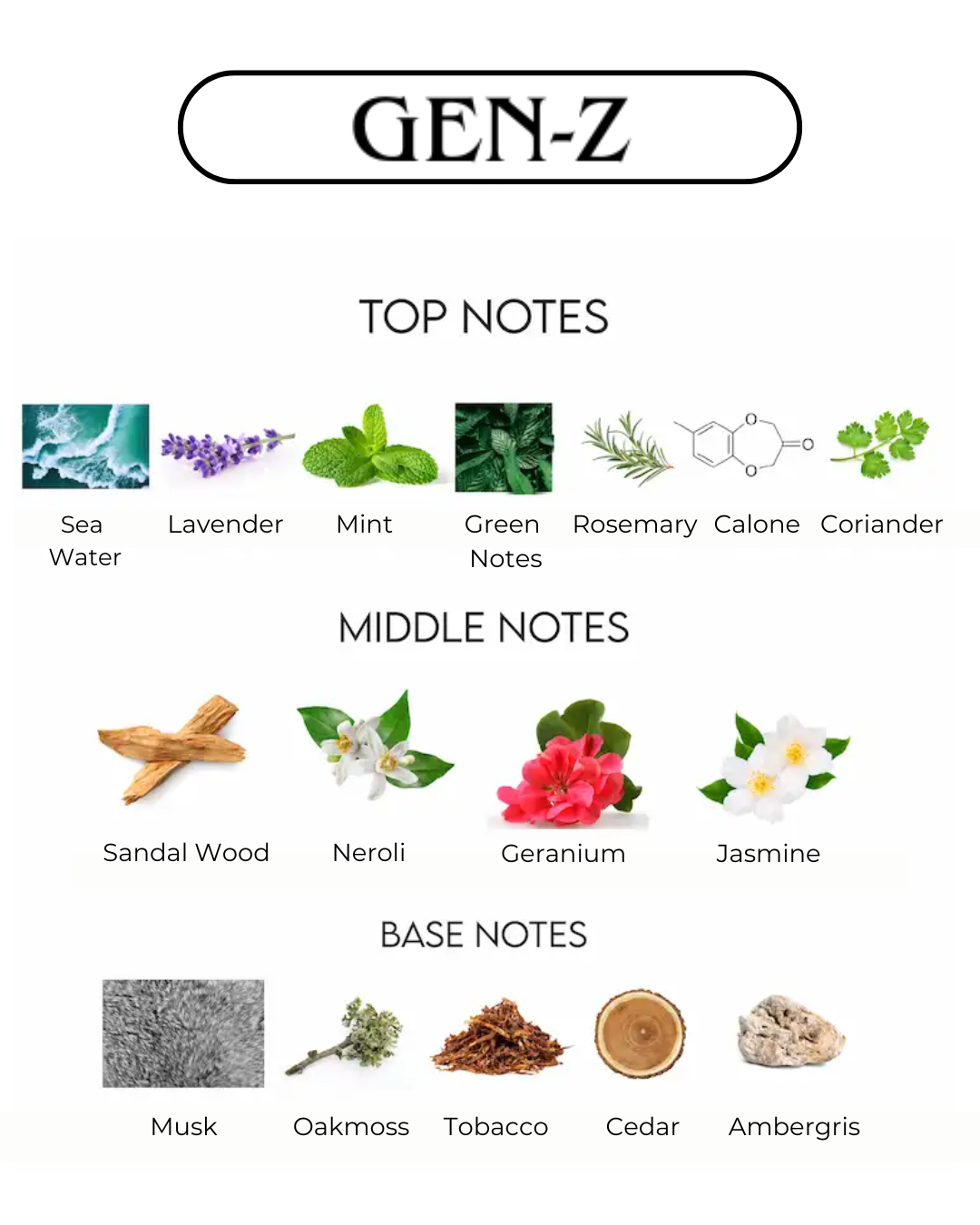 GEN-Z | Scentiment Fragrances